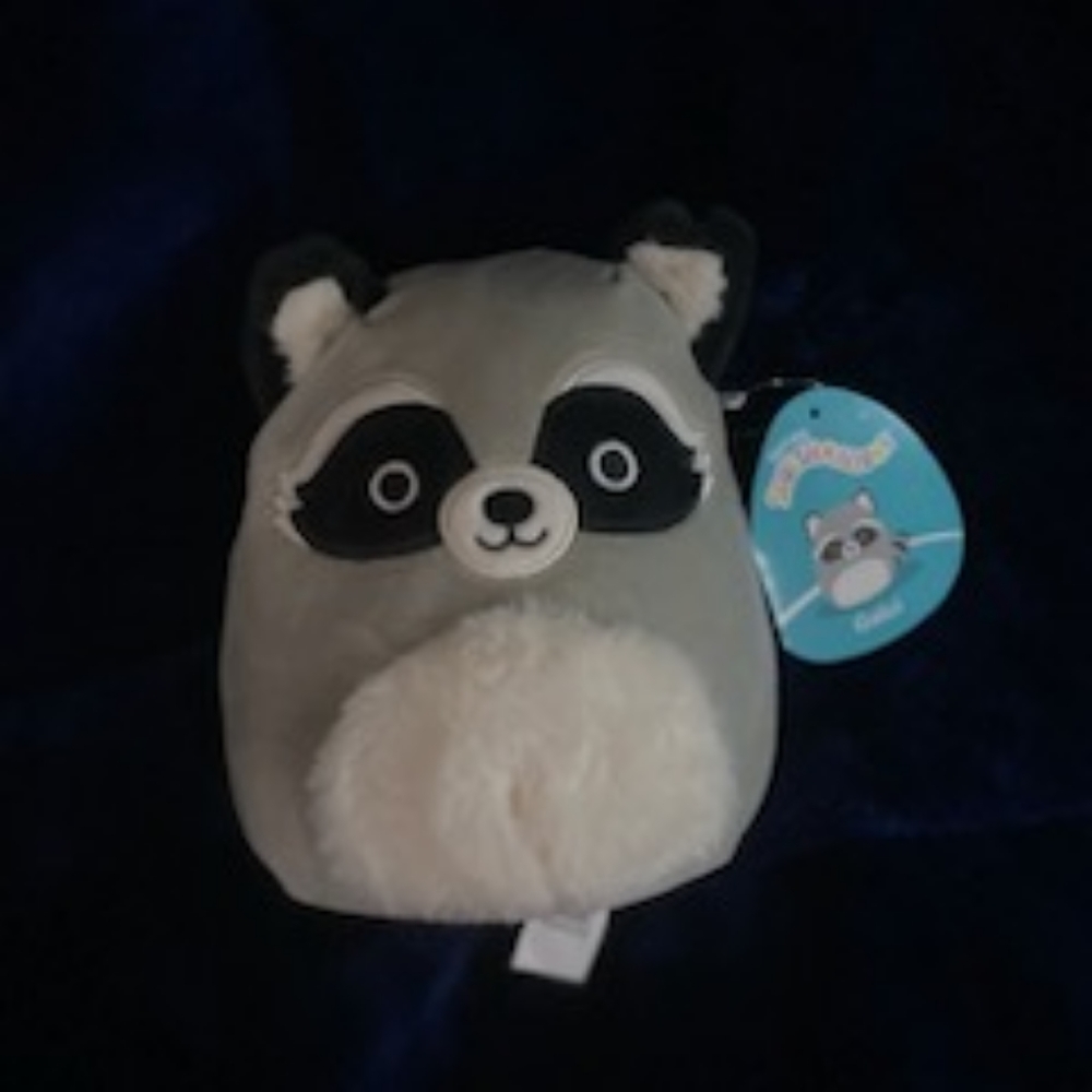 Racoon squishmallow